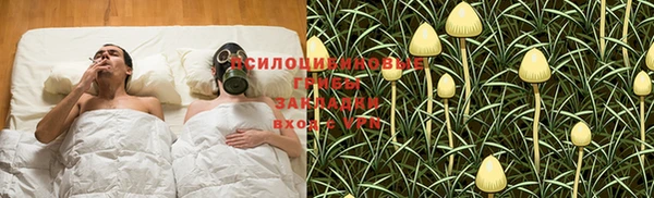 твердый Лиски