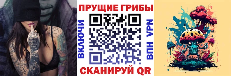 mega вход  Батайск  Галлюциногенные грибы прущие грибы  наркота 