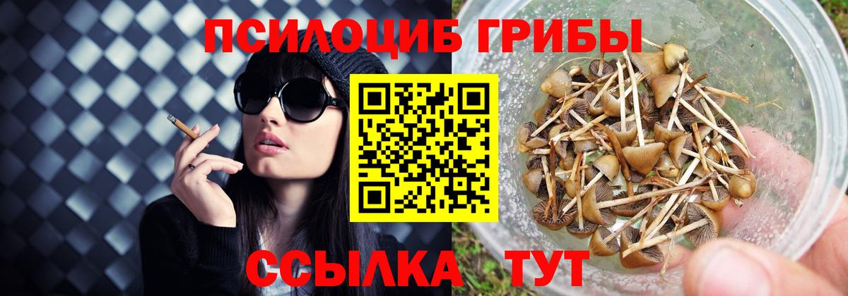 Псилоцибиновые грибы прущие грибы Батайск