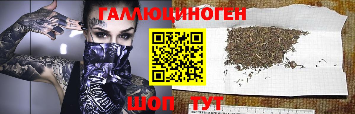 Батайск  Галлюциногенные грибы ЛСД  Вход с VPN 